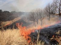 草原を保全するため、前年の枯草を燃やす「山焼き」。 1日日は岡山県内で最も広い実施面積の草原での実施。