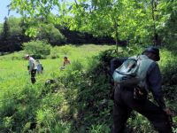 昨年12月に落葉かきなどの保全活動を行った希少植物自生地などを再訪し、保全活動の効果を確認しました