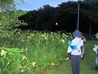 ちょうど開催時間の日没前後ごろに雨が降り出しそうな予想でしたが、園内の散策中はカサをささずにすみました