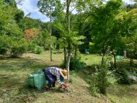 26日：刈った草の収集作業（ボランティア）（翌日夜に開催予定の「夜の昆虫観察会」の準備として、観察路などはしっかりと草刈り＆草集めをしておきました）