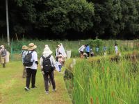 8月の「夏の！・・・」に続いての、秋の虫捕りイベントです。温室エリアの池のトンボを狙う参加者の子供たち