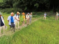 園内の湿地の成り立ちを解説したほか、サワギキョウや咲き始めたスイランのほか、イヌノヒゲなどを観察して頂きました。