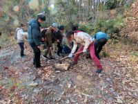 外側がぼろぼろに朽ちた木も、中心部分はまだ腐ってないので、オノで薪割りに挑戦中。 なにが隠れているでしょうか？