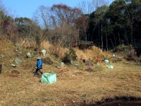 31日：湿地北側の斜面を手刈りするボランティア（大きな岩が配置されているため、刈払い機では作業しにくく、毎冬、ボランティアさんに手刈りで刈ってもらっています。）